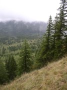 Saddle Mountain Oct 9 2005 015 